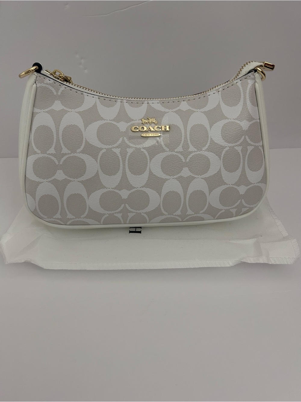 Coach Mini Shoulder Bag in Light Gray and White with Gold Hardware